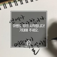 아뱅도 캘리그라피 시작합니다. 기대해주세요!