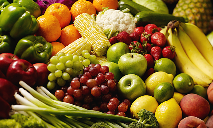 과일과 채소 구분 : 수박은 과일일까? 채소일까? : 네이버 블로그