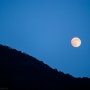 [풍경사진] 보름달 환하게 떠오르는 밤 by 포토그래퍼 원종호