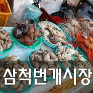 [삼척여행] 싱싱한 해산물이 가득, 생생정보통에서 소개된 삼척 번개시장