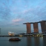 여름 휴가? 제주도 갈까? vs 싱가포르 갈까?