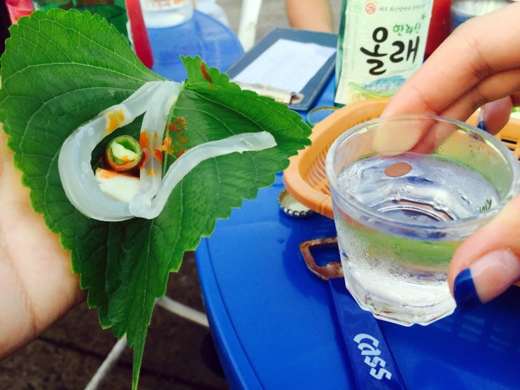 [제주맛집] 제주도 여름별미 한치회~! 서진수산 다녀왔어요 : 네이버 블로그