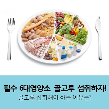운동만큼 중요한 영양, 필수 6대영양소를 골고루 섭취해야하는 이유는? : 네이버 블로그