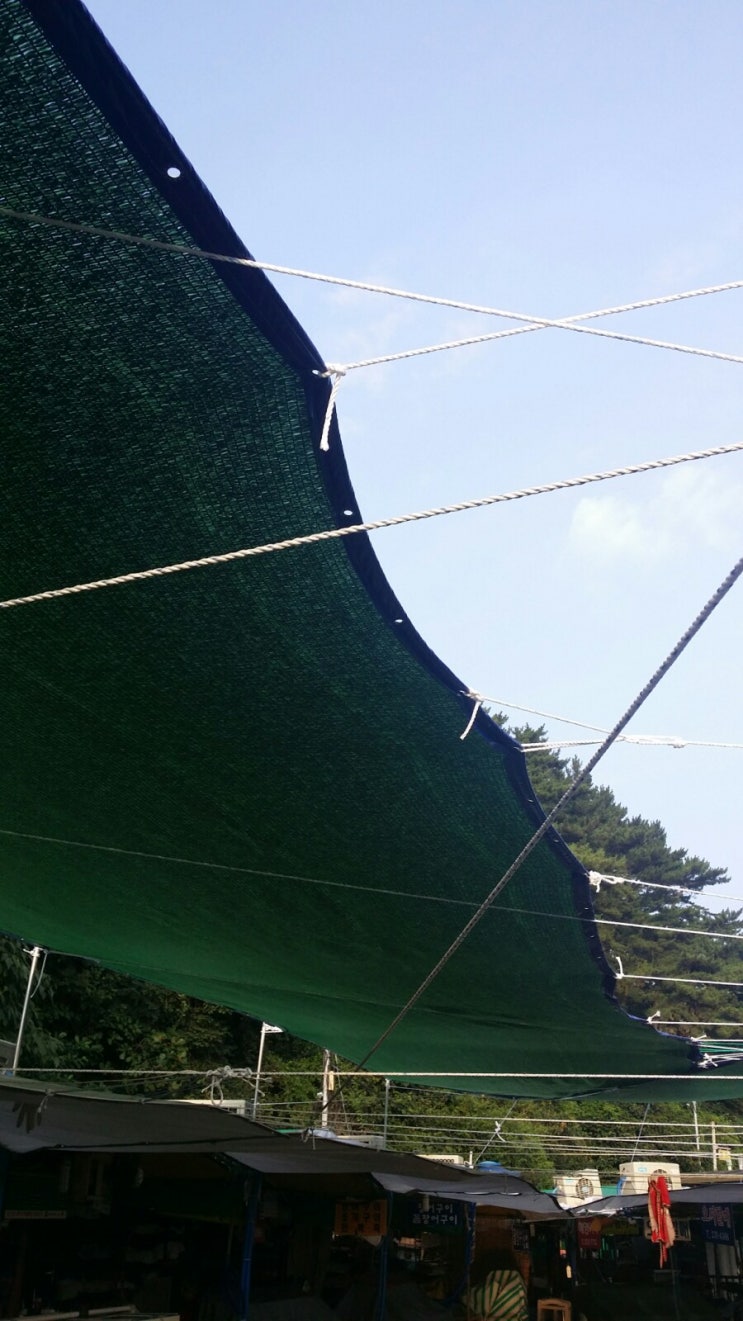 차광망작업 : 네이버 블로그