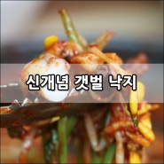 성남낙지 신개념 갯벌낙지에서 먹고 왔어요