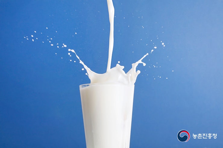 우유로 만드는 가정요리 맛 보세요~! : 네이버 블로그