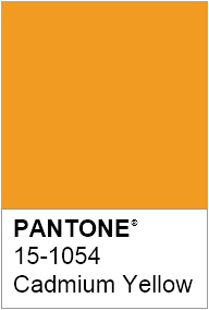 팬톤코리아 / 팬톤컬러칩 20160802 팬톤오늘의컬러 PANTONE COLOR 15-1054 : 네이버 블로그
