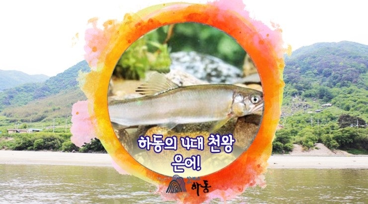 하동의 4대 천왕 은어 : 네이버 블로그