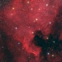 북아메리카 성운(NGC7000)