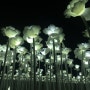 [양산라이딩] 밤에 피는 LED 장미구경 & 사진찍는 라이딩 - 양산디자인공원