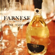 파네세 와인 시음단 오리엔테이션 * 남부 이탈리아 와인 테이스팅 @블루밍가든