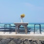 제주도 여행지 추천 :: 세화해변 돌담위 의자에서 인생사진을
