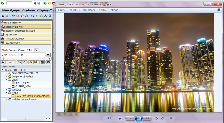 ABAP WEB DYNPRO layout, 이미지 넣기 : 네이버 블로그