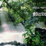 리얼캠핑 28 - 여름휴가 또 폭우, 중미산자연휴양림