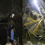 [미국홈스테이]폭염속의 동굴피서 : 오리건케이브 vs 광명동굴