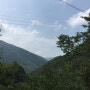 [경남 양산] 깨끗한 물이 있는 원동자연휴양림 계곡