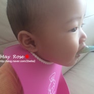 아기이유식 - 6개월아기 중기이유식 넘어가기