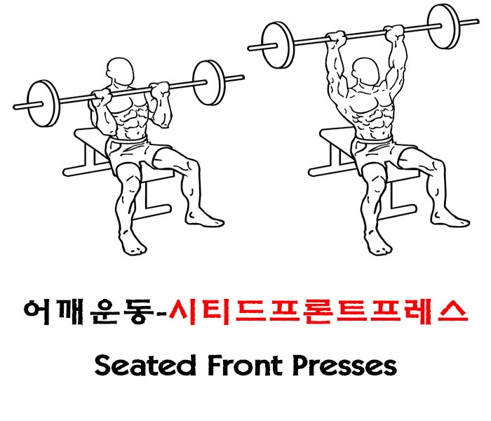 어깨운동 - 시티드 프론트프레스 (Seated Front Presses) : 네이버 블로그