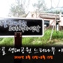 군포 초막골캠핑장 생태공원 느티나무 야영장
