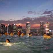 싱가포르 - 가든스 바이 더 베이, 마리나베이샌즈 수영장