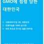 GMO에 점령당한 한국