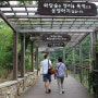 서울근교당일치기여행 화담숲 풍경이 너무좋다