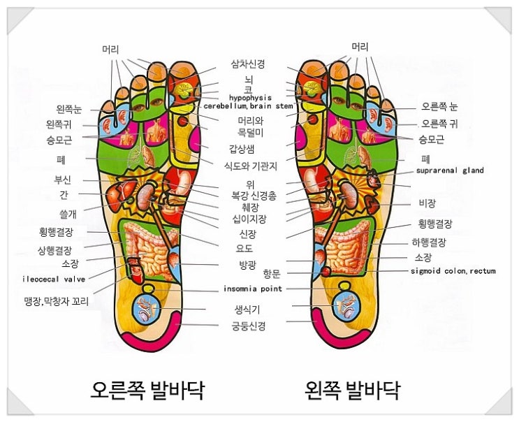 손 발 지압표 공유!! : 네이버 블로그