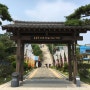 2박3일 포항여행 01 :: 죽도시장, 호미곶, 구룡포, 근대문화역사거리
