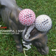 프리미엄 골프공, 카에데볼(카에데럭스볼) 매거진 광고 디자인 - 나은골프(KAEDE GOLF BALL 한국총판)