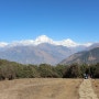 [푼힐, ABC 트레킹] 안나푸르나 트레킹 3일차 #2, 고레파니에서 츄일레 (인도/네팔여행 +42) 2016.2.25