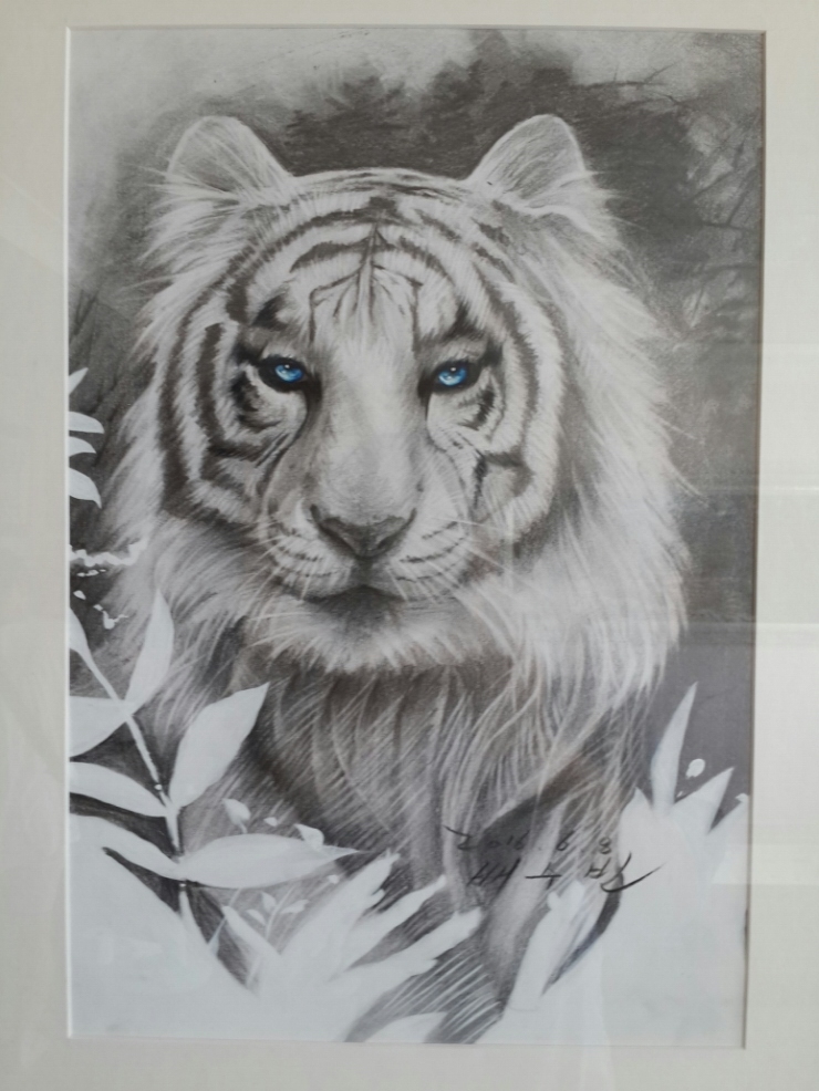 눈 속의 흰 호랑이 벽지