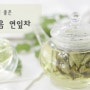 광주 허브뜨레종 교육문화원 - 산야초 & 꽃차 소믈리에 [ 연잎 덖음차 ]