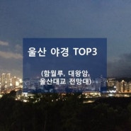 [울산관광] 울산의 대표 야경명소 TOP3 - ♥