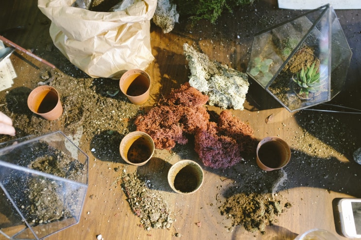 흙의 종류 [부엽토, 혼합토(상토, 배양토), 마사토, 퇴비란?] : 네이버 블로그