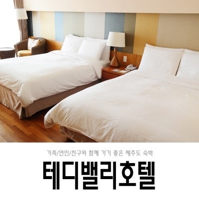 [제주도 숙박]가족,연인,친구와 가기 좋은 테디밸리호텔 후기! : 네이버 블로그