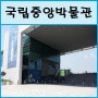 [여름방학체험] 국립중앙박물관