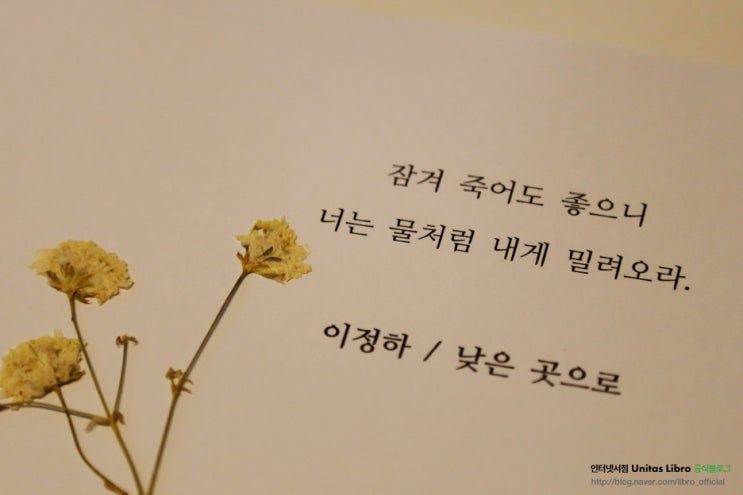 [꿀팁] 한국인이 좋아하는 시 10편_좋은 시 추천, 감성 글귀 : 네이버 블로그