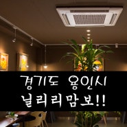 [경기도 용인시] 닐리리맘보, 닐리리갤러리와~ 맘보카페의 조화~!