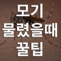 모기 물렸을때 대처방법 꿀팁!!