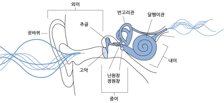 소리 전달 과정 : 네이버 블로그