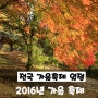 [전국 가을 축제 일정] 2016년 9월, 10월 전국 가을 단풍축제 일정