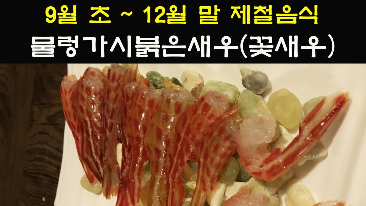 [9월 초~12월 말 제철음식] 물렁가시붉은새우(꽃새우) : 네이버 블로그