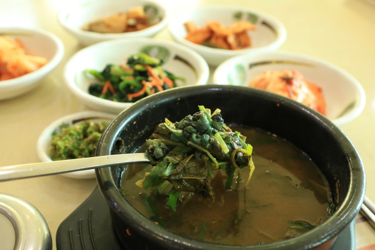 충북 괴산 맛집 괴산올갱이해장국 : 네이버 블로그