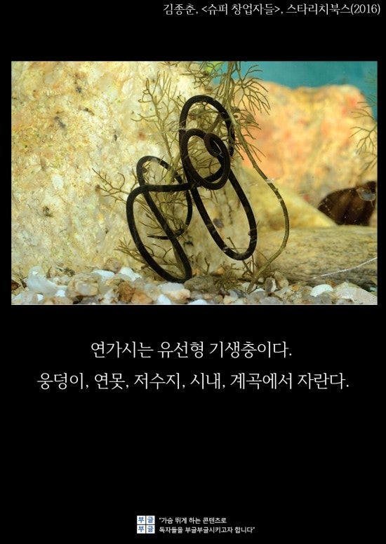 기꺼이 내줬는데 넘치게 돌려받는 '연가시 전략' : 네이버 블로그