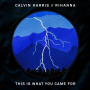 Calvin Harris - This Is What You Came For ft. Rihanna(뮤비/듣기/가사)