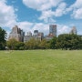 [여자 혼자 뉴욕자유여행] 뉴욕 센트럴파크 Central Park (뉴욕센트럴파크 뉴욕공원 여행추천 뉴욕여행 미국뉴욕 홀푸드마켓 뉴욕5번가 브로드웨이 뉴욕플라자호텔)