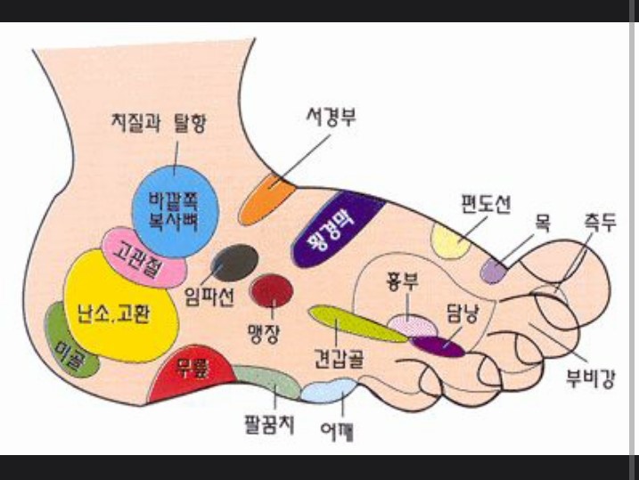 발 지압의 명칭 : 네이버 블로그