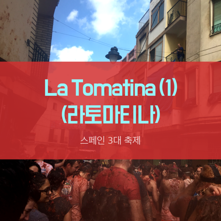 day15, 스페인3대축제 : La Tomatina (라토마티나) 준비 방법 (1)