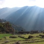 [푼힐, ABC 트레킹] 트레킹 8일차 마지막 날, 아래시누와에서 시와이, 다시 포카라(인도/네팔여행 +47)