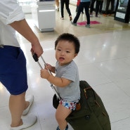 16개월아기 제주도여행 :-) 아기와 여행 / 비행기타는 시기는 ?